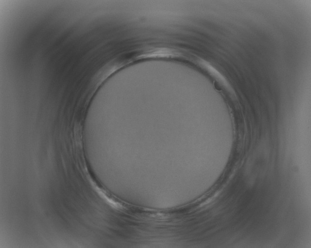 X0000081371329200702082336