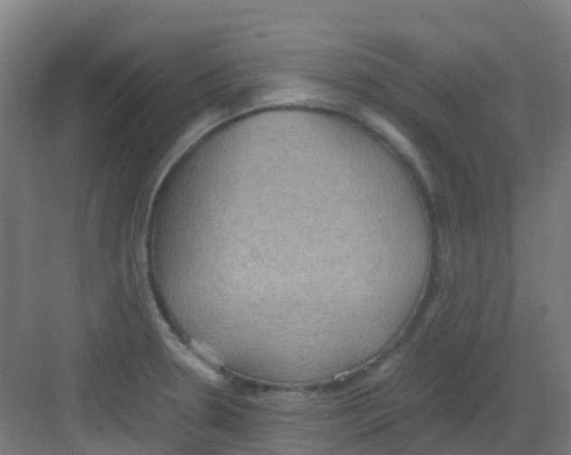 X0000081371330200702082336