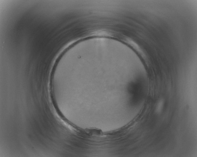 X0000081371331200702082336