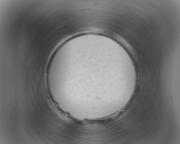 X0000081371332200702082336