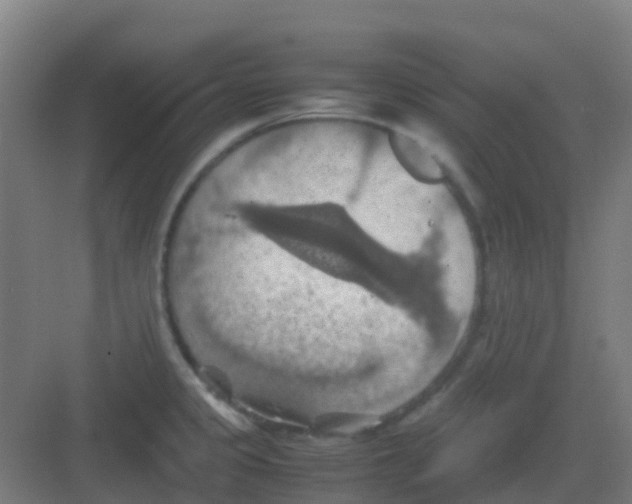 X0000081371333200702082336