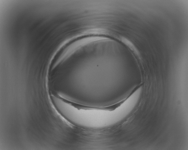 X0000081371334200702082336