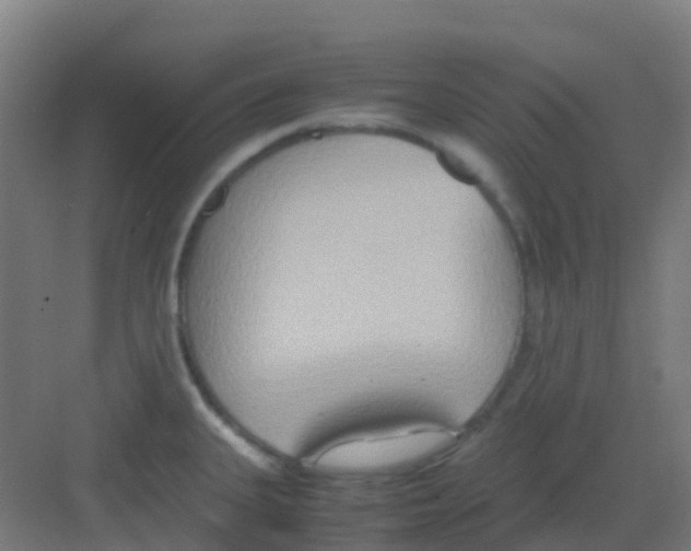 X0000081371335200702082336