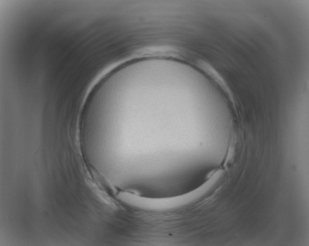 X0000081371336200702082336