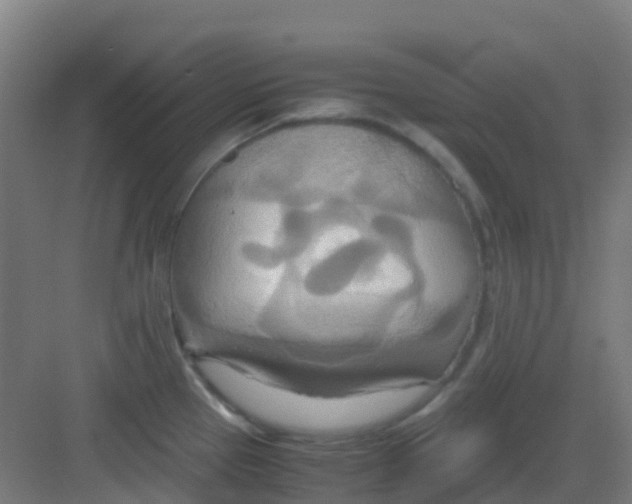 X0000081371337200702082336