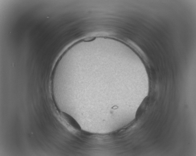 X0000081371340200702082336