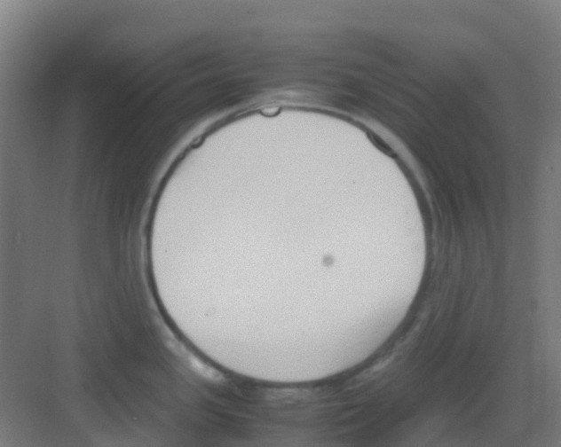 X0000081371341200702082336