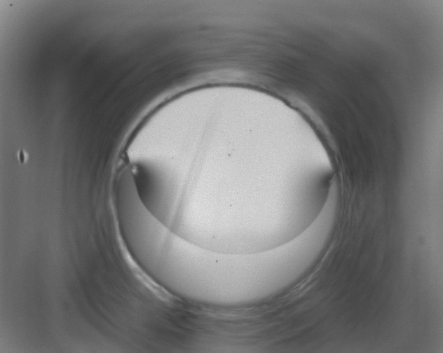 X0000081371342200702082336