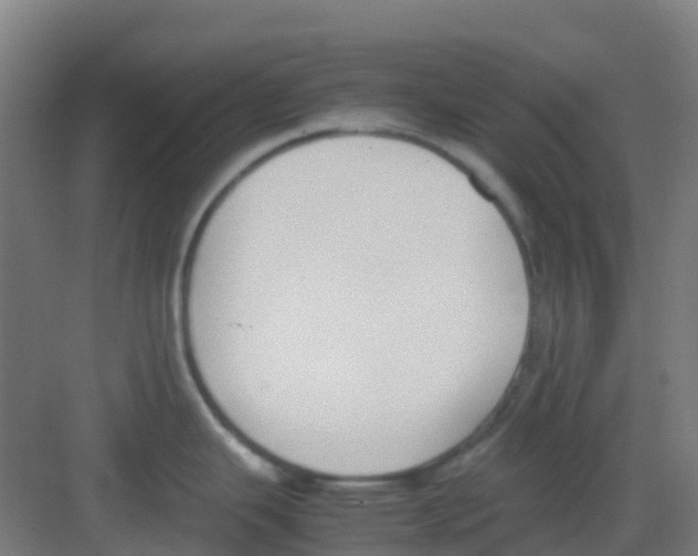 X0000081371343200702082336