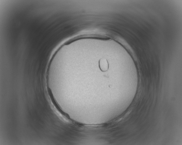 X0000081371344200702082336