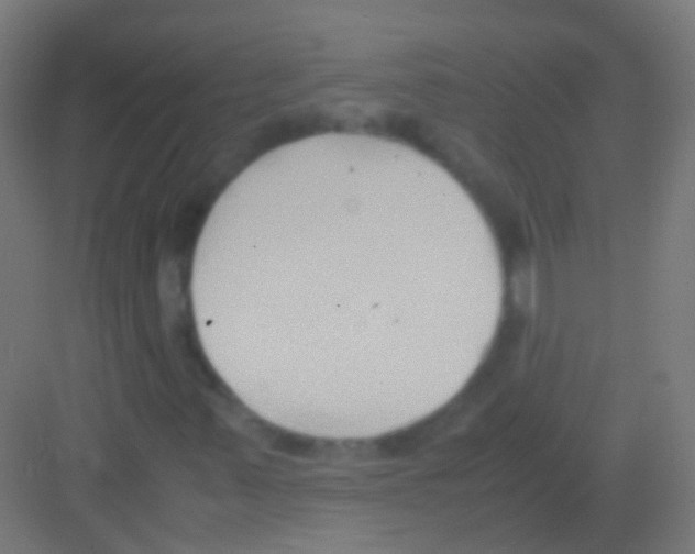 X0000081371347200702082335