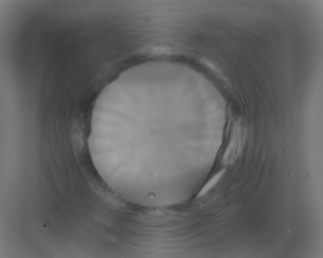 X0000081371348200702082335