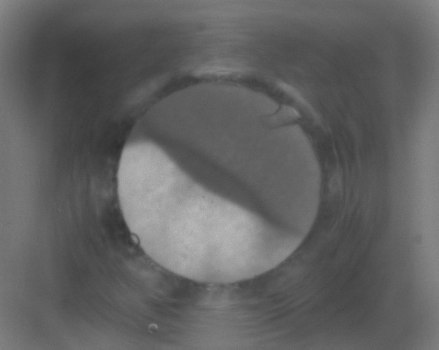 X0000081371350200702082335