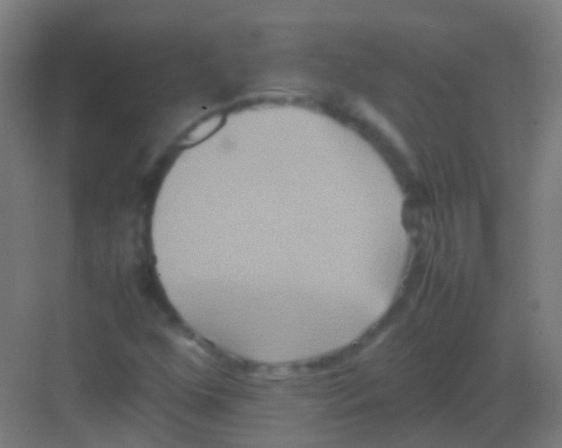 X0000081371352200702082335