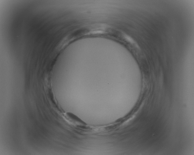 X0000081371353200702082335