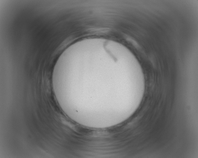 X0000081371354200702082335