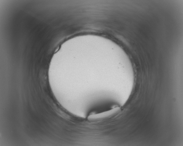 X0000081371355200702082335