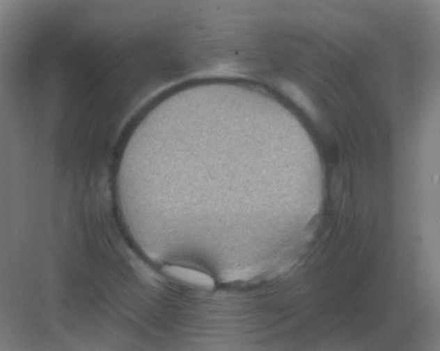 X0000081371356200702082335