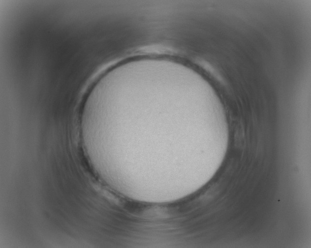 X0000081371358200702082335