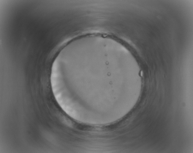 X0000081371359200702082335