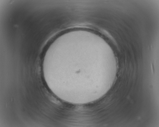 X0000081371360200702082335