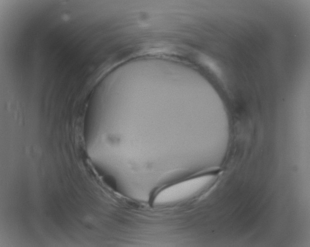 X0000081371361200702082335