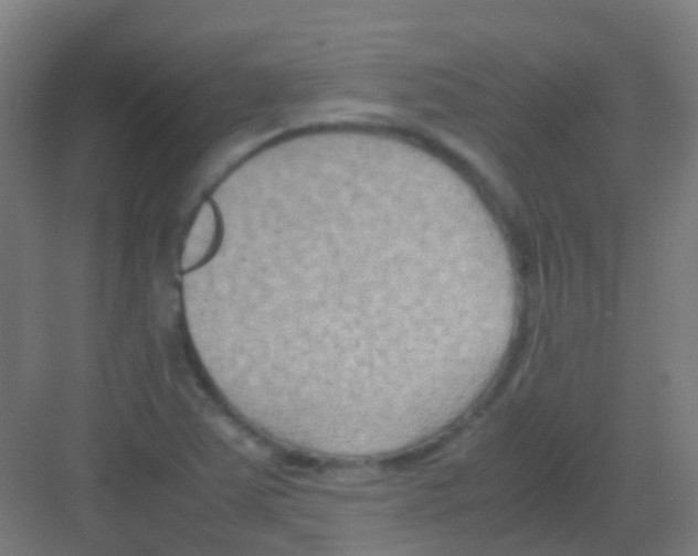 X0000081371363200702082335