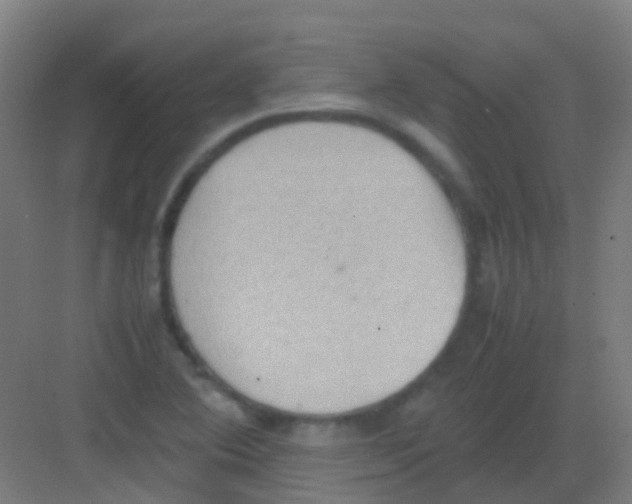 X0000081371364200702082335