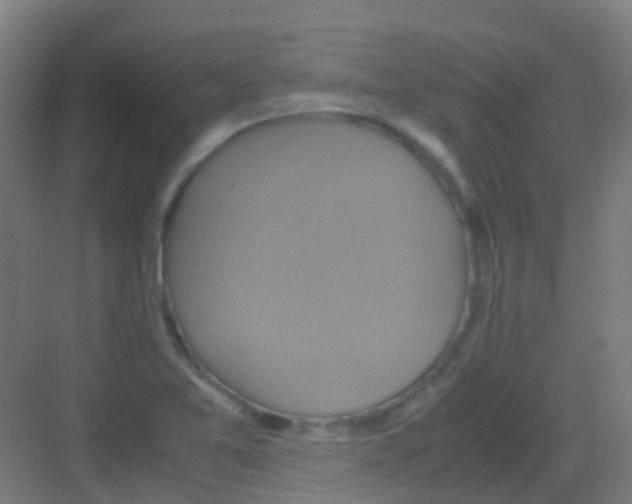 X0000081371365200702082335