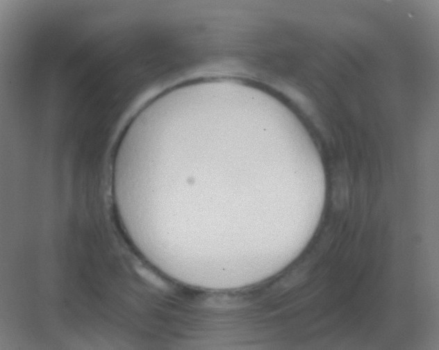 X0000081371366200702082335