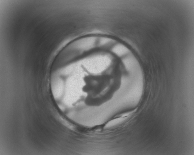 X0000081371367200702082335