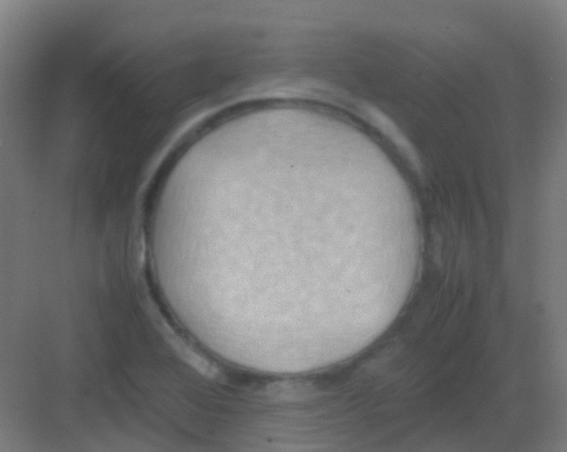 X0000081371368200702082335