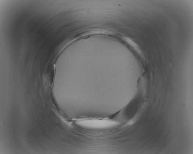 X0000081371369200702082335