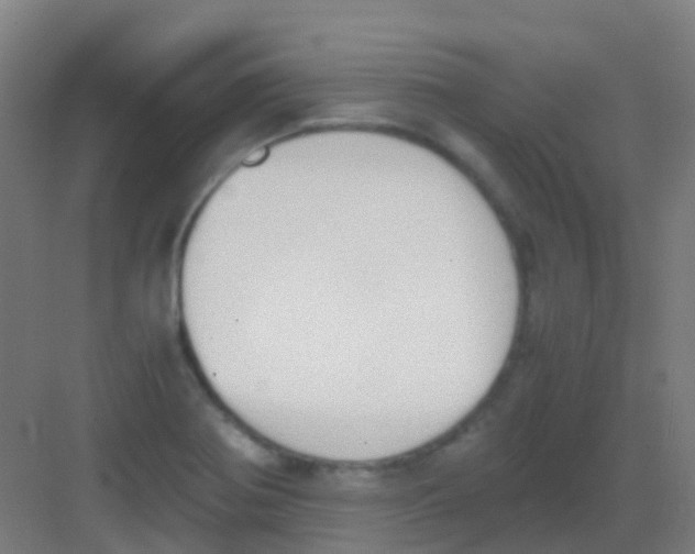 X0000081371370200702082335