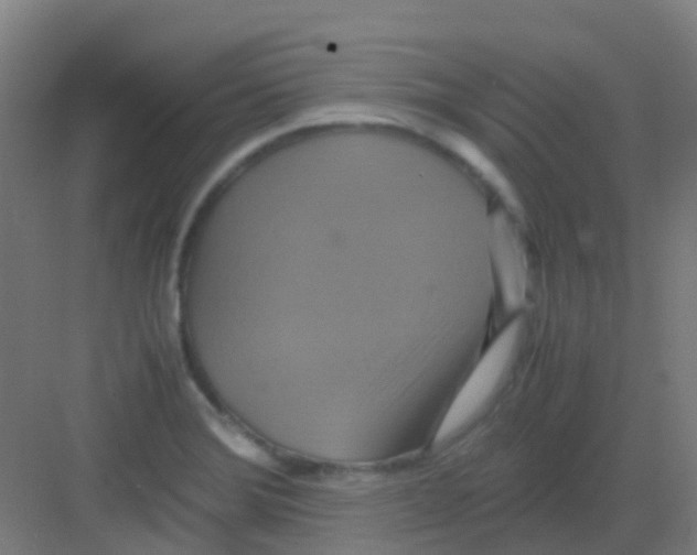 X0000081371372200702082335