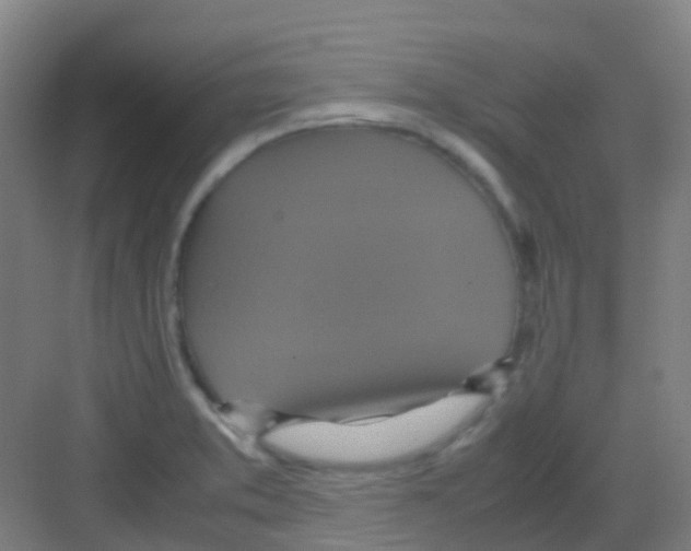 X0000081371373200702082335