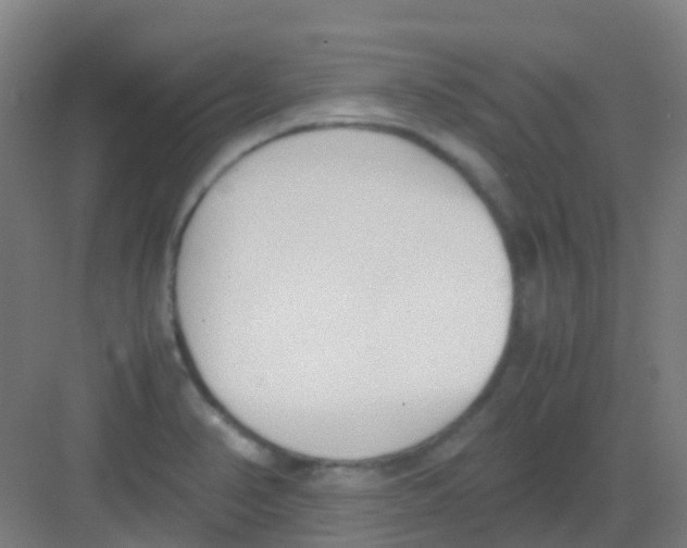 X0000081371374200702082335