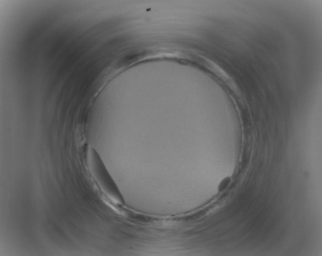 X0000081371377200702082335