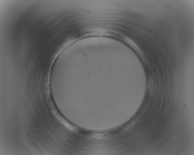 X0000081371378200702082335