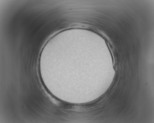 X0000081371379200702082335