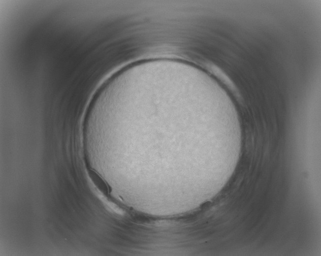 X0000081371380200702082335