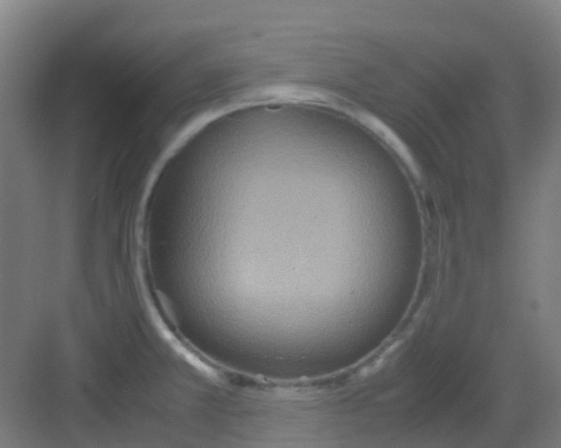 X0000081371381200702082335