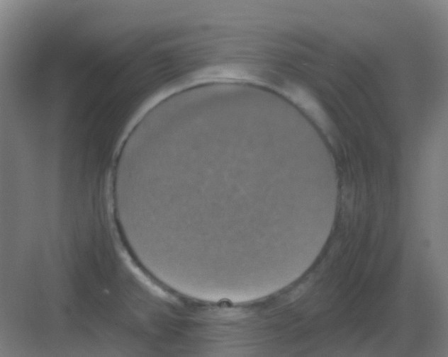 X0000081371382200702082335