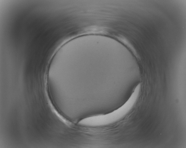 X0000081371383200702082335