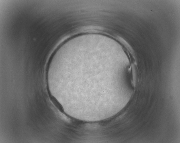 X0000081371384200702082335