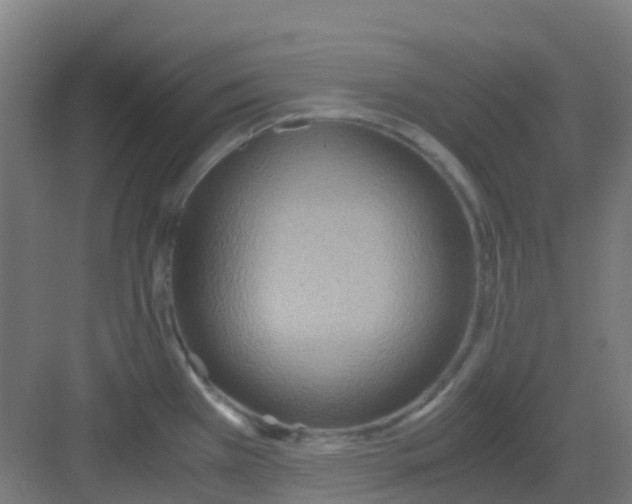 X0000081371385200702082335