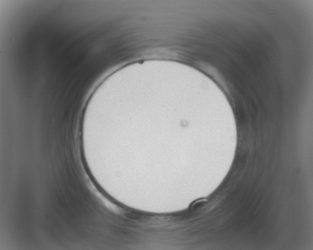 X0000081371387200702082335