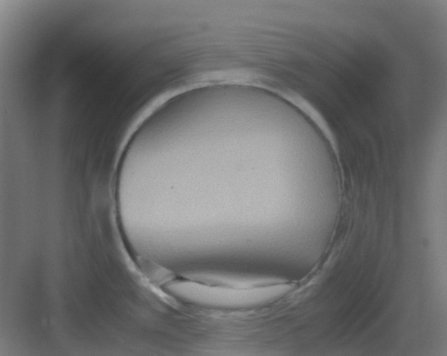 X0000081371389200702082335