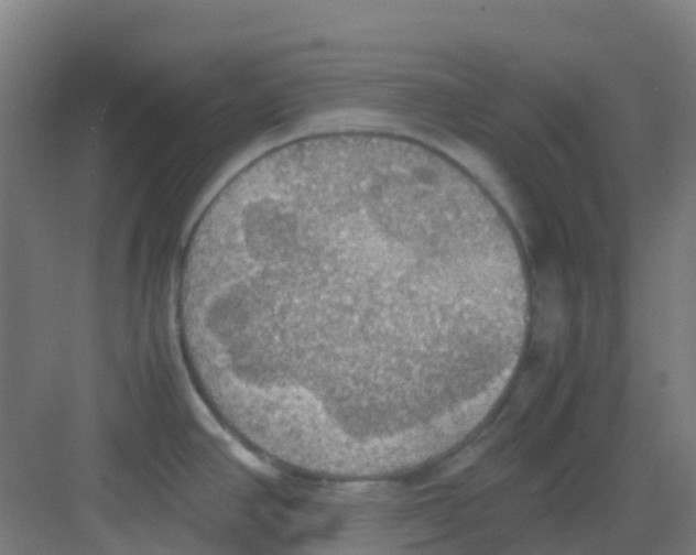 X0000081371390200702082335