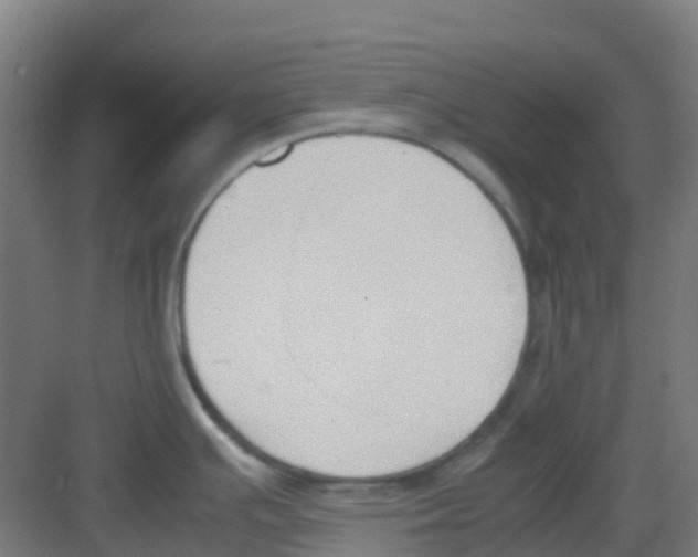 X0000081371391200702082335